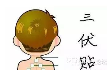 1、三伏貼有用嗎？效果好嗎？