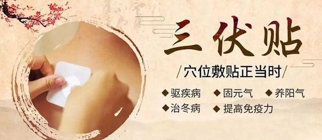 1、三伏貼要連續(xù)貼幾天